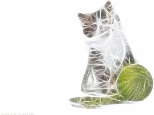 299457 (a): :1600x1200
